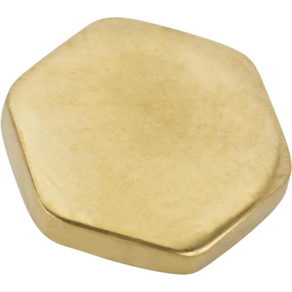 Hex Brass Radiator Cap, 7 lbs