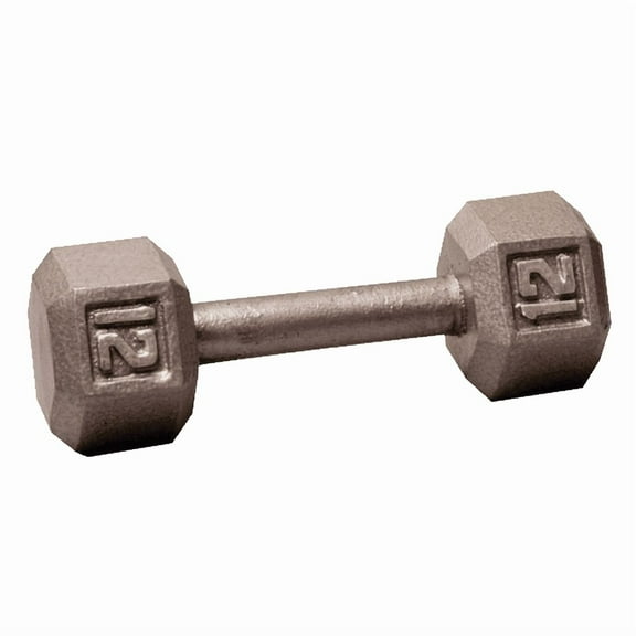 Hex Dumbbell 12 lb