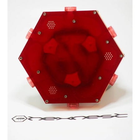 HexNest Branch - Yellow Formicarium with Red Cover