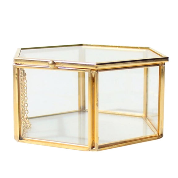 Hexagon Brass Geometric Terrarium Succulent Planter Jewelry Display 12.5 x 12.5 x 6 cm