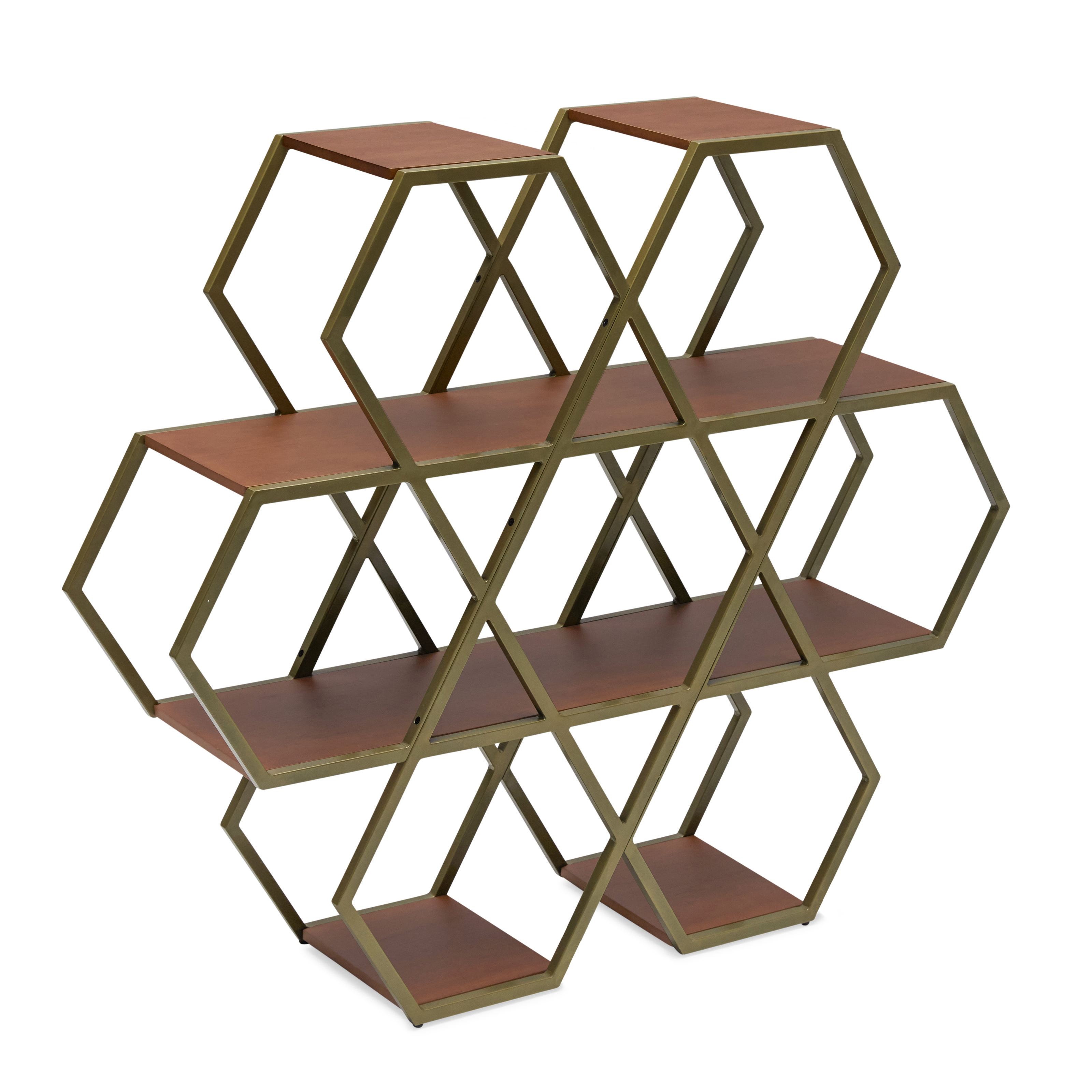 Hexagon Large Bookshelf by Drew Barrymore Flower Home - image 1 of 10