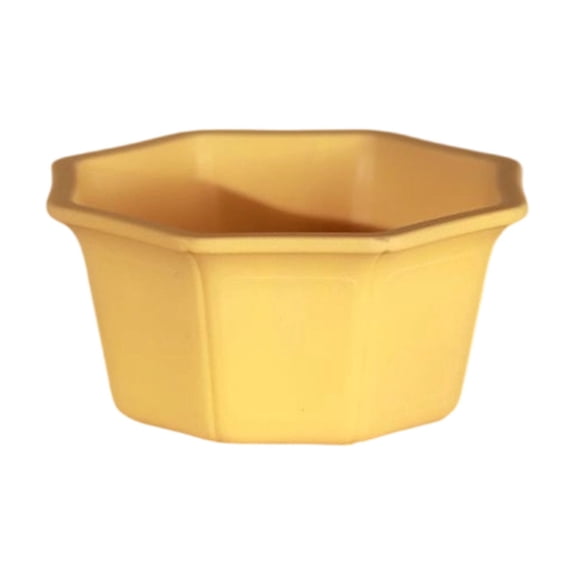 Hexagon Planter Pot with Drainage Hole, Geometric Design for Indoor ...