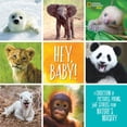 thumbnail image 1 of Hey, Baby!: A Collection of Pictures, Poems, and Stories from Nature's Nursery (Hardcover) by Stephanie Warren Drimmer, 1 of 1