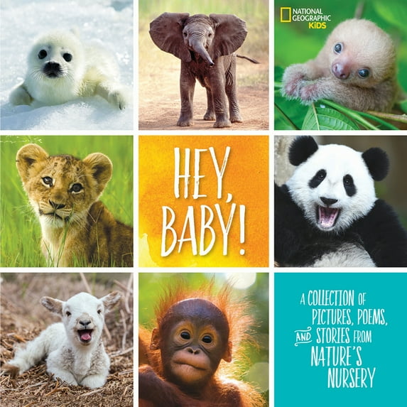 Hey, Baby!: A Collection of Pictures, Poems, and Stories from Nature's Nursery (Hardcover) by Stephanie Warren Drimmer