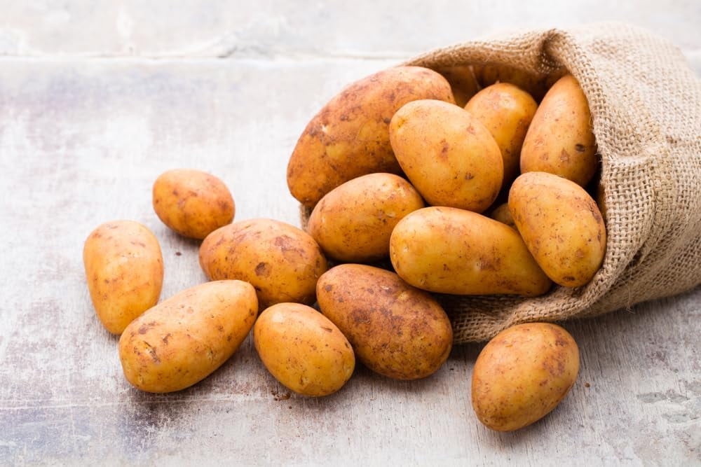 Russet Seed Potatos for Planting - Easy to Grow (5 Pounds)