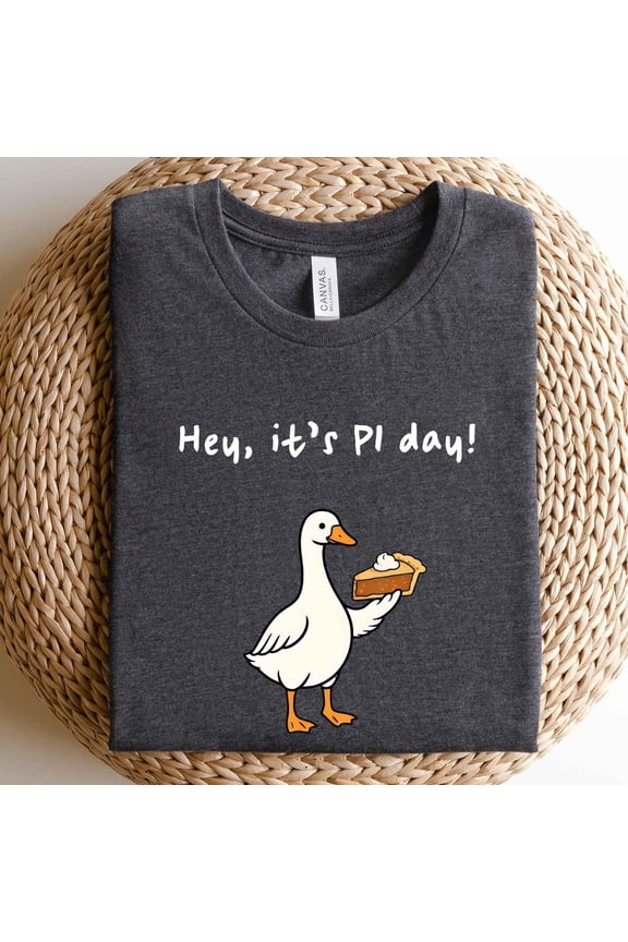 Hey It s Pi Day Silly Goose Pi Day Shirt Math Teacher Shirt Funny Pi Day Nerdy Math STEM T