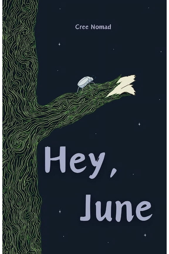 Hey, June, (Paperback)