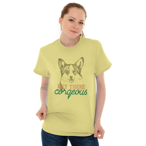 Hey There Corgeous Corgi Pickup Line Women's Graphic T Shirt Tees Brisco Brands S