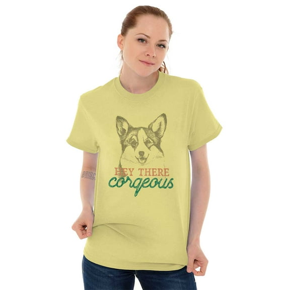Hey There Corgeous Corgi Pickup Line Women's Plus Size Graphic Tee Brisco Brands 2X