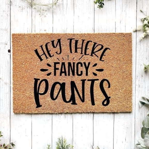 Hey There Fancy Pants Door Mat Welcome Mats Non-Slip Dust Floor Rug for Kitchen Bedroom Bath Room Front Hall Lawn 16x24 Inch.