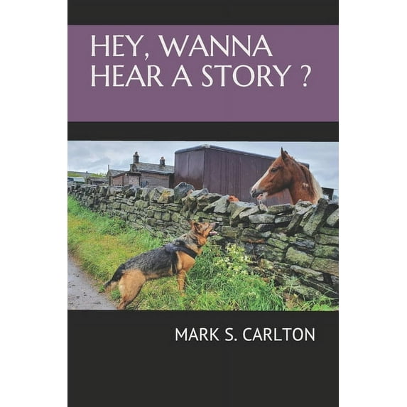 Hey, Wanna Hear a Story ? (Paperback)