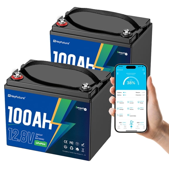 HeyFuture 2 Pack 12V 100Ah Bluetooth LiFePO4 Battery Group 24, Deep Cycle Lithium Battery, 15000 Charging Cycles, Lightweight Compact, Perfect For Rv, Trolling Motors, Yacht, Solar Systems
