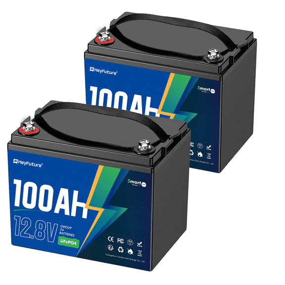 HeyFuture 2 Pack 12V 100Ah LiFePO4 Deep Cycle Lithium Battery Group 24, 15000+ Cycles, Lightweight Compact Design, Perfect For Rv, Solar Systems, Trolling Motors, Marine Applications, Off-Grid Power