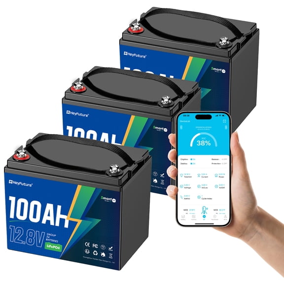 HeyFuture 3 Pack 12V 100Ah Bluetooth LiFePO4 Battery Group 24, Deep Cycle Lithium Battery, 15000 Charging Cycles, Lightweight Compact, Perfect For Rv, Trolling Motors, Yacht, Solar Systems