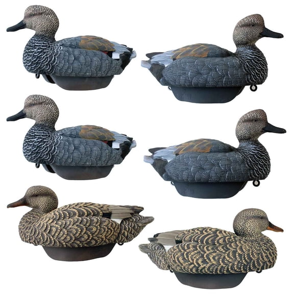 Heyday Outdoors HydroFoam Gadwall Duck Decoys, 6 Pack