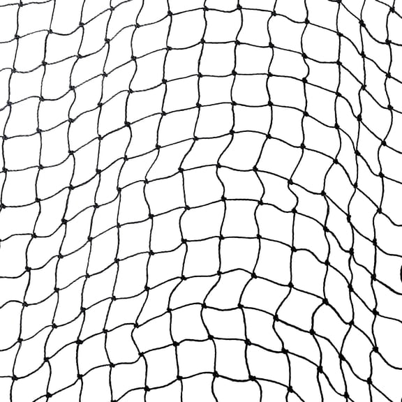 Hfnggwee 10x15ft Heavy Duty Baseball & Soccer Backstop Net - Nylon Sports Netting for Backyard, Multi-Sport Barrier with Reinforced Edges, for Hitting/Practice CJA513-130