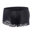 thumbnail image 1 of Hfnxid Panties for Women Briefs,Men Mesh Fashion Lace Sexy Solid Color Breathable Boxers Briefs, 1 of 6