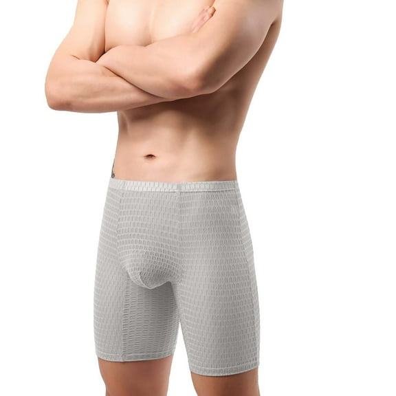 Hfnxid Womens Briefs Underwear,Men's Sexy Lace Shorts With Mesh Personalized Comfortable Flirtatious Four Cornered Waistband Men's Underwear