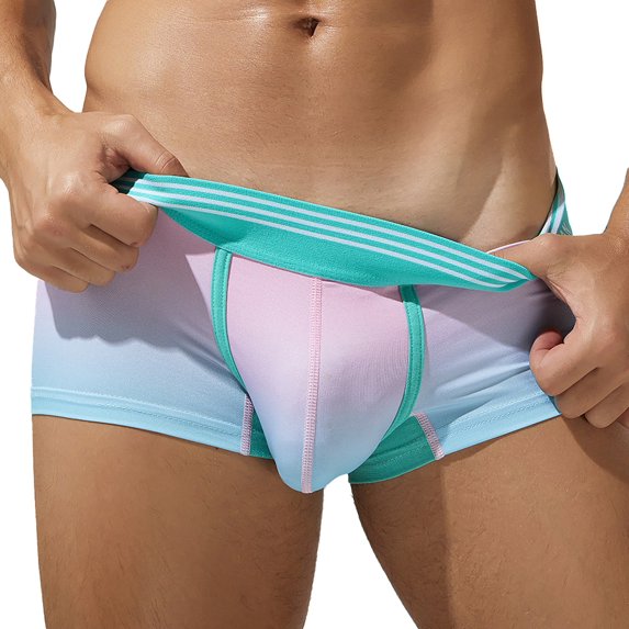 Hfolob 2024 New Men Underwear Low Rise Sexy Thin Ice Silk Trunk Hipster Breathable Underpants