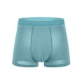 thumbnail image 1 of Hfolob Mens Underwear Comfy Summer Solid Color Mesh Flat Briefs Shorts, 1 of 3