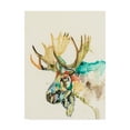 thumbnail image 1 of Hi Fi Wildlife IV' Canvas Art by Jennifer Goldberger, 1 of 4