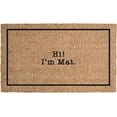 thumbnail image 1 of Hi, I'm Mat Mats for Front Door Entry Front Porch Doormat Non-Slip Carpet Rugs Floor Mat Decorative for Home Bathroom Kitchen Indoor 16x24 Inch, 1 of 6