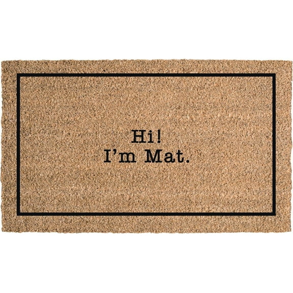 Hi, I'm Mat Mats for Front Door Entry Front Porch Doormat Non-Slip Carpet Rugs Floor Mat Decorative for Home Bathroom Kitchen Indoor 20x32 Inch