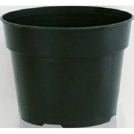 Hi Islander Group Black Pot 6x5