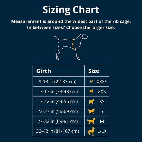 , Hi & Light, Everyday Lightweight Dog Harness, Trail Running, Walking, Hiking, All-Day Wear, Lichen Green, Medium