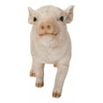 thumbnail image 1 of Hi Line 8.7” Animal Baby Pig Garden Statue, 1 of 2