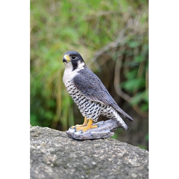 Hi-Line Gift 10.25 in Peregrine Falcon Garden Statue, Life-like Polyresin Decor