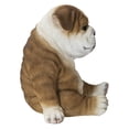 thumbnail image 1 of Hi-Line Gift Ltd. Bulldog Sleeping Medium, 1 of 6