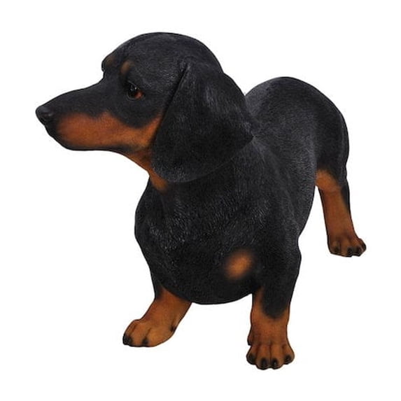 Hi-Line Gift 12 in Standing Dachshund Garden Statue, Realistic Polyresin, Brown Eyes