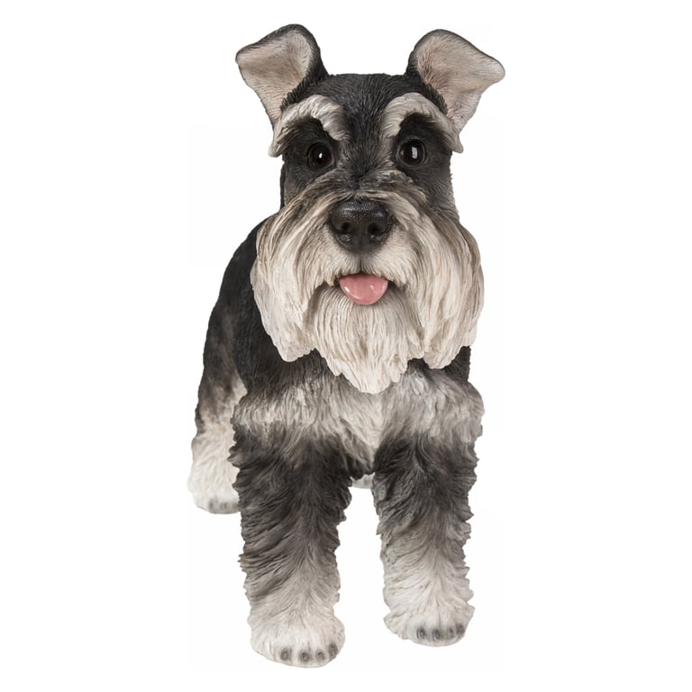 Hi-Line Gift 8” Miniature Schnauzer Garden Statue, Durable