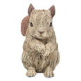 thumbnail image 1 of Hi-Line Gift 87650-I Squirrel Driftwood Look, 1 of 7