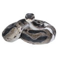 thumbnail image 1 of Hi-Line Gift 87680-B Regius Ball Python Statue, 1 of 7