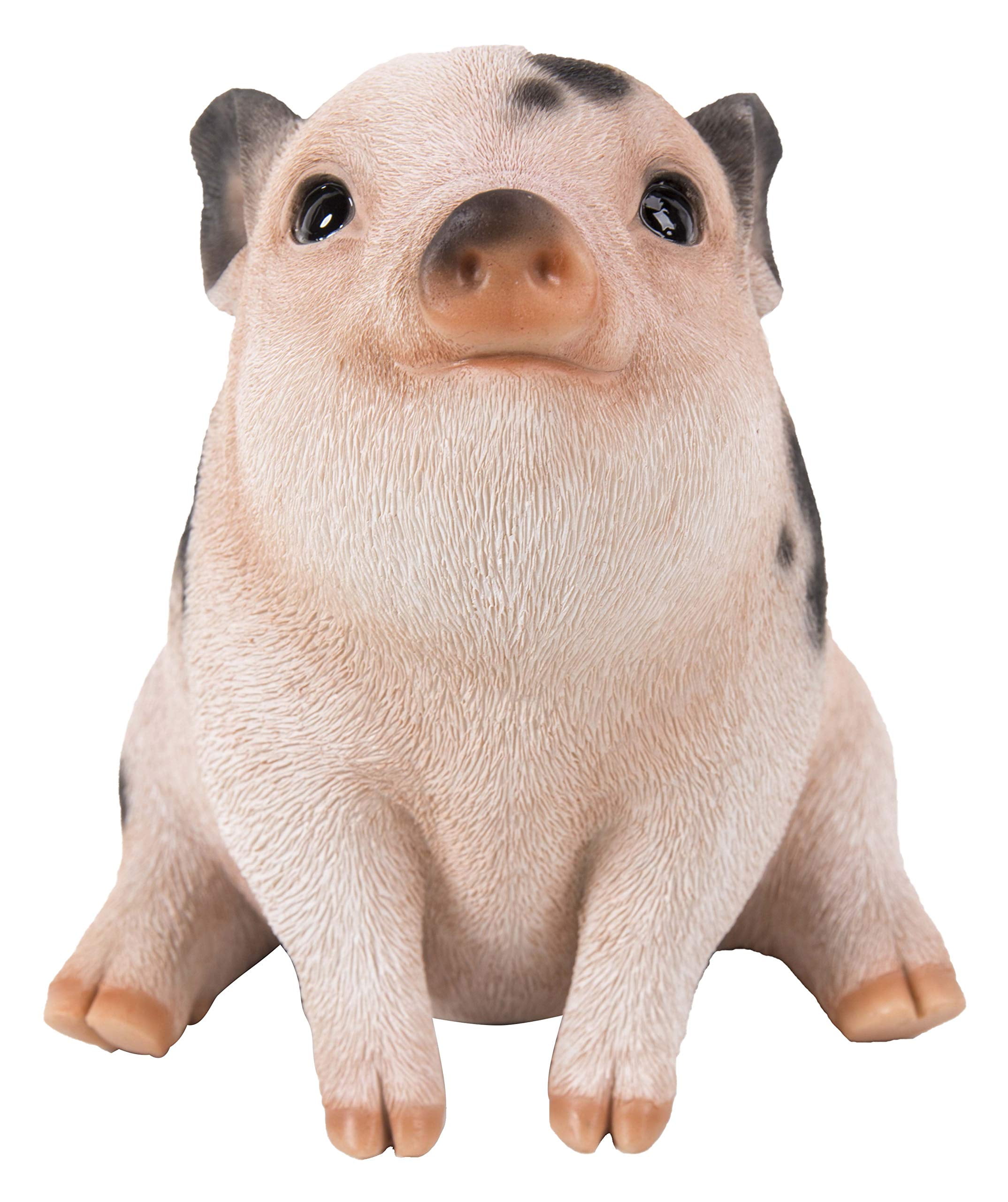 Sweet little piggy Cr: Pinterest . Please DM for Credit