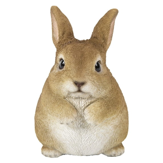 Hi-Line Gift 87685-C Chubby Rabbit Standing