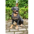 thumbnail image 1 of Hi- Line Gift 87688 Decorative Rottweiler Sitting Large Dog Statue, 1 of 3
