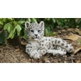 thumbnail image 1 of Hi- Line Gift 87695-A Snow Leopard Cub Statue, 1 of 5