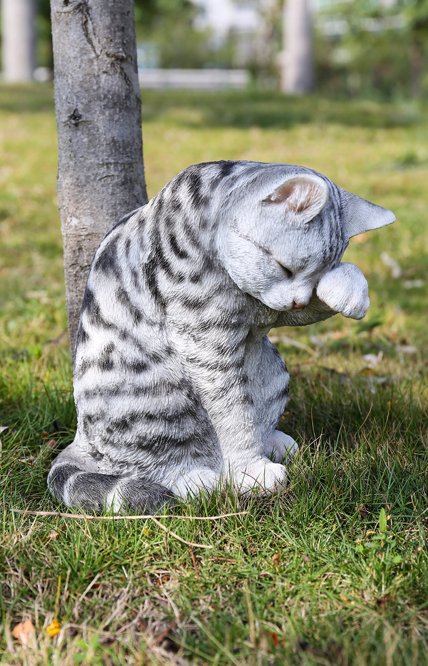 Gray Poly-resin American Shorthair Cat Washing Statue