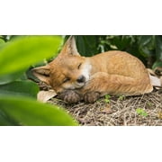 Hi- Line Gift 87719-D Fox Pup Sleeping Statue