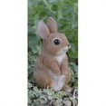 thumbnail image 1 of Hi-Line Gift 87739-A Rabbit Standing Statue, Small, 1 of 1
