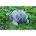 thumbnail image 1 of Hi-Line Gift 87761-L Tortoise Statue, Extra Large, 1 of 1
