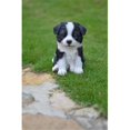 thumbnail image 1 of Hi-Line Gift 87771-O Pet Pals - Sitting Border Collie Puppy Statue, 1 of 1