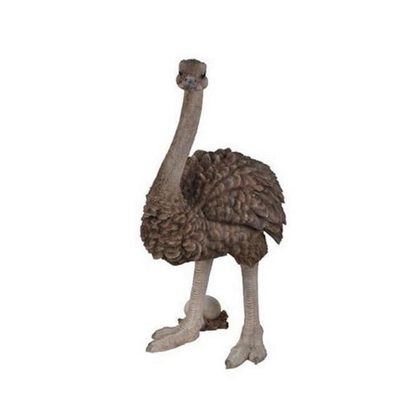 Hi-Line Gift 87782 Ostrich Standing Statue, 27 inch