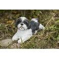 thumbnail image 1 of Hi- Line Gift 87797-BK Shih Tzu Lying Down Black/White Statue, 1 of 8