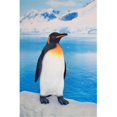 thumbnail image 1 of Hi-Line Gift 87953-S Penguin Statue, Small, 1 of 1