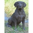 thumbnail image 1 of Hi-Line Gift 87985-BR Dog - Labrador Retriever Sitting Statue, Brown, 1 of 1
