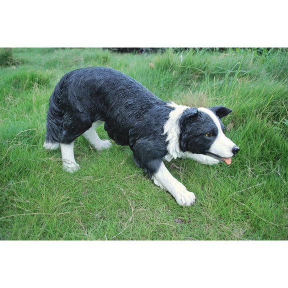 Hi-Line Gift BORDER COLLIE DOG STATUE-BLACK/WHITE
